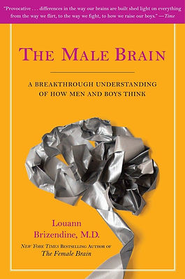 The Male Brain cover